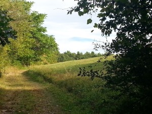 Beechwood-Hiking-Trails-3